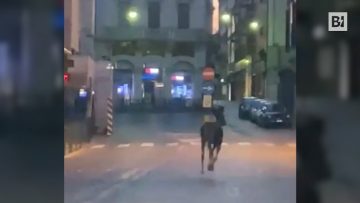 Privato: [ID: z7bMCXR01x0] Youtube Automatic