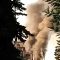 Roma, esplosione e fiamme in una palazzina a Tor Bella Monaca