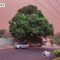 Tempeste di sabbia in Brasile, le città avvolte dalla polvere