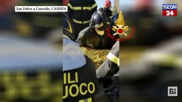 Privato: [ID: -2N5_RE-pzU] Youtube Automatic