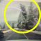Albero cade su strada e sfiora un’auto