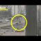 Carro armato schiaccia un’auto a Kiev: anziano incastrato tra le lamiere