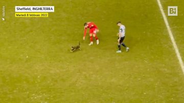 Privato: [ID: jZ6YMDJmLn0] Youtube Automatic