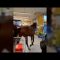 Fermi tutti, alla cassa del supermarket c’è un cavallo