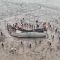 Cina, enorme balena arenata in spiaggia: salvata dopo 20 ore