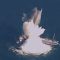 “Colpita e affondata”: la super bomba Usa spezza in due la nave