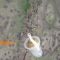 Bomba nel bicchiere di plastica: ecco lo stratagemma russo