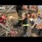 Il salvataggio di un gattino finito in fondo a un pozzo