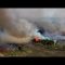 Vasto rogo a Bibione, le fiamme spaventano i bagnanti