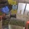 Bari, sequestrati 900 kg di marijuana: la droga era stoccata in un’ex stalla
