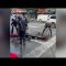 New York, cavallo collassa in strada: il cocchiere lo frusta con le redini