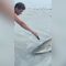 Bagnanti torturano uno squalo sulla spiaggia della Florida: indignazione sui social