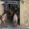 La mucca al supermarket e i tori in banca: tutto vero