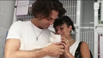 Privato: [ID: yK4DJxBj_vY] Youtube Automatic