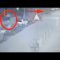 Privato: [ID: h5wXN3vCNX8] Youtube Automatic