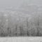 La prima neve crea un paesaggio da cartolina