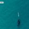 Privato: [ID: fZZrJEWBoqM] Youtube Automatic