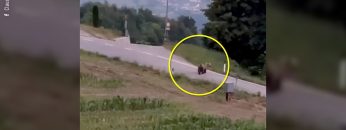 Privato: [ID: 6000wwhhfWI] Youtube Automatic