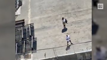 Privato: [ID: G784Q_MeKW8] Youtube Automatic