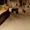 Spunta l’orsa Amarena coi cuccioli: la (giusta) reazione di turisti e abitanti