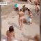 Anche i cinghiali vanno in spiaggia: l’incursione tra i bagnanti in Sardegna a Cala Corsara