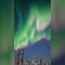 Spettacolare “aurora dell’anguria” illumina il cielo dell’Alaska