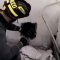 Resta incastrato in un’intercapedine nel muro, gatto liberato dai pompieri
