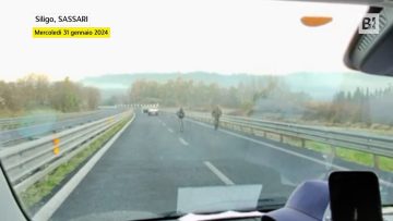 Privato: [ID: Q_cOVPo_Vvg] Youtube Automatic