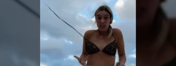 Privato: [ID: -zQuojsqJ44] Youtube Automatic