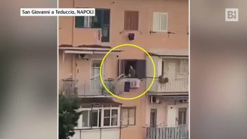 Privato: [ID: 4PX_1bSn3wg] Youtube Automatic