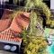 Il ladro è maldestro e la fuga finisce in piscina