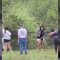 Turisti tirano giù da un albero e feriscono due orsetti per scattare foto