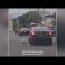 Lo straziante video del cane che insegue l’auto dei padroni che lo hanno abbandonato