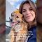 Privato: [ID: TA3W0lLjzWI] Youtube Automatic