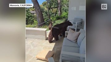 Privato: [ID: ABrglSVoLnw] Youtube Automatic