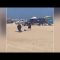 Turista attaccata da un toro su una spiaggia di Cabo in Messico
