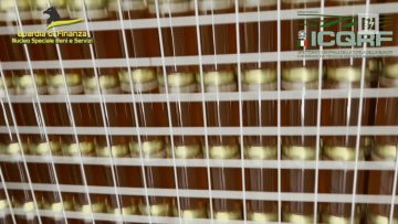 Privato: [ID: iMZtBhbZ3t4] Youtube Automatic