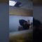 Privato: [ID: I5DQLMeont4] Youtube Automatic