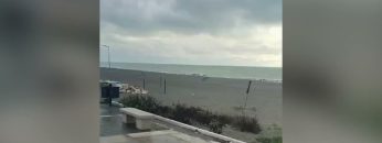 Privato: [ID: 4dUTeOfyhX8] Youtube Automatic