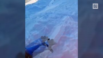 Privato: [ID: hC7EZLuEl8g] Youtube Automatic
