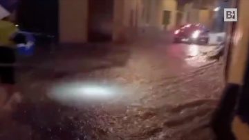 Privato: [ID: zS4fzTsdY88] Youtube Automatic