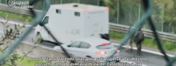 Privato: [ID: cPnNTrigzaE] Youtube Automatic