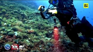 Privato: [ID: U8jZoJ5YzmY] Youtube Automatic