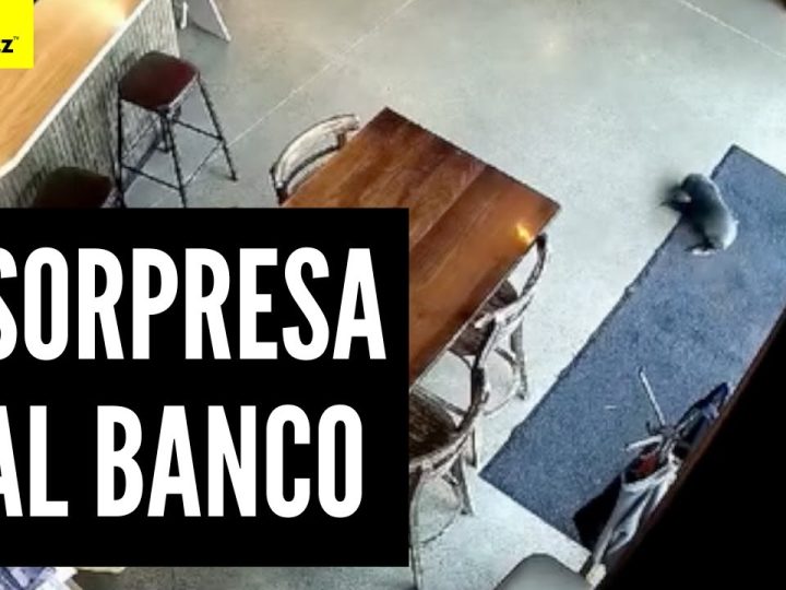 Privato: [ID: 6NQuPRhQXeY] Youtube Automatic