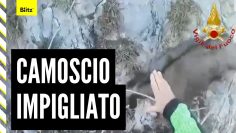 Privato: [ID: 6VJAyiPrI2s] Youtube Automatic