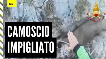 Privato: [ID: 6VJAyiPrI2s] Youtube Automatic