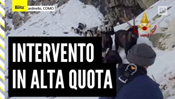 Privato: [ID: NjKYDhTzcXs] Youtube Automatic