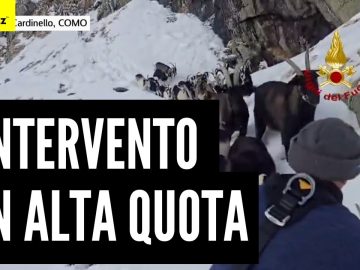 Privato: [ID: NjKYDhTzcXs] Youtube Automatic