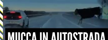 Privato: [ID: bLgxHl68Tqc] Youtube Automatic
