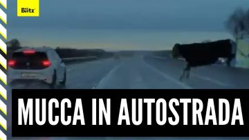 Privato: [ID: bLgxHl68Tqc] Youtube Automatic